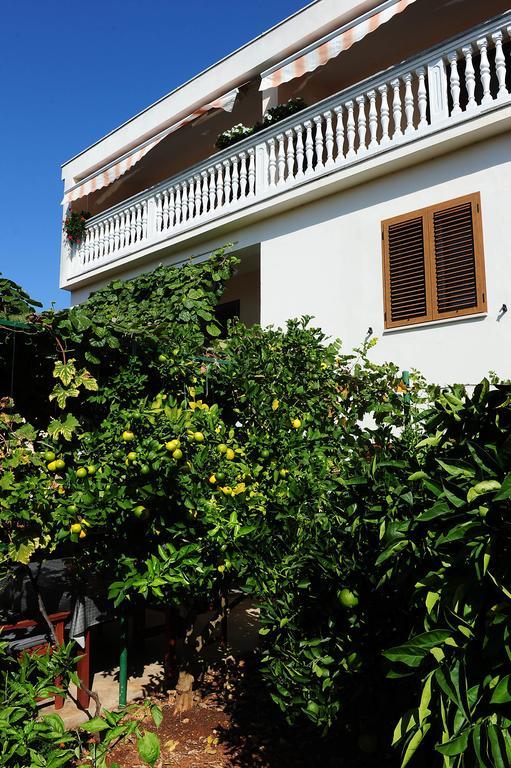 Apartments Luka & Sara زادار المظهر الخارجي الصورة